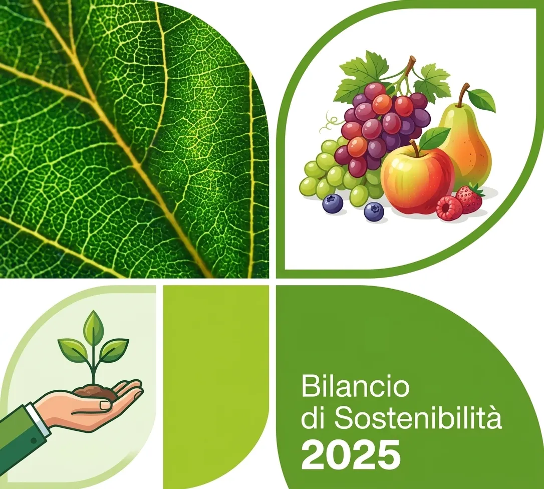Bilancio di Sostenibilità Fruitime