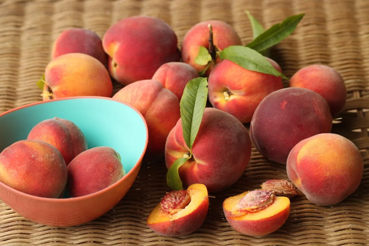 GIUGNO: ALLA SCOPERTA DELLE PESCHE!